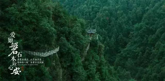 小兔子大冒险