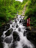 清凉夏日冰淇淋